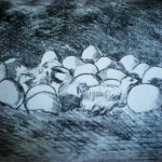 DSCN1366