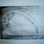 DSCN1367