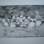 DSCN1381