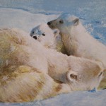 I cuccioli di orso polare ,tecnica mista 2004
