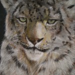 Leopardo delle nevi , tecnica mista 2004