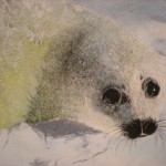cucciolo di foca della Groenlandia, tecnica mista 2004